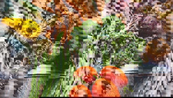 What to plant in April